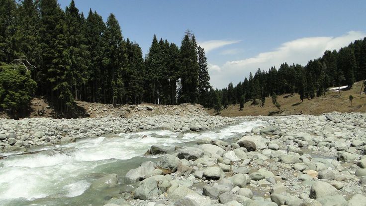 Doodhpathri Meadows